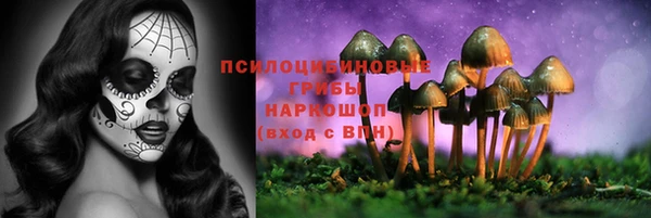 дмт Осинники