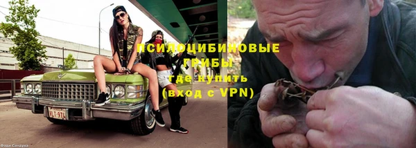 не бодяженный Нязепетровск